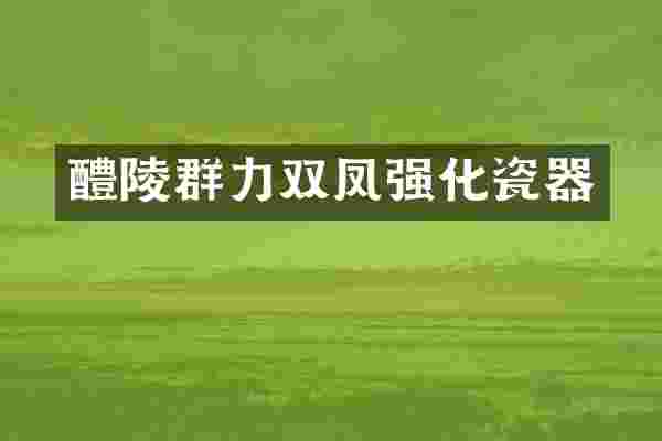 醴陵群力双凤强化瓷器