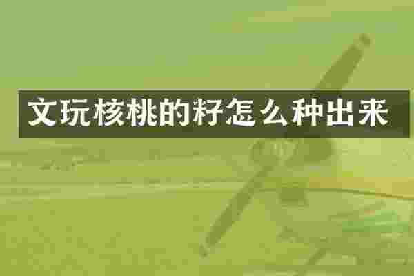 文玩核桃的籽怎么种出来