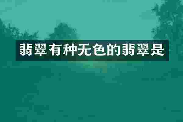 翡翠有种无色的翡翠是