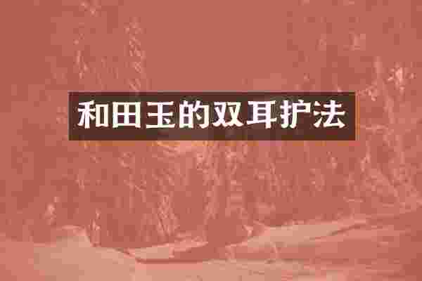 和田玉的双耳护法