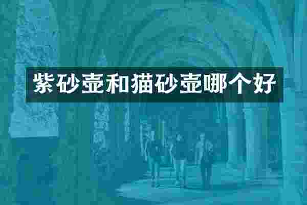 紫砂壶和猫砂壶哪个好