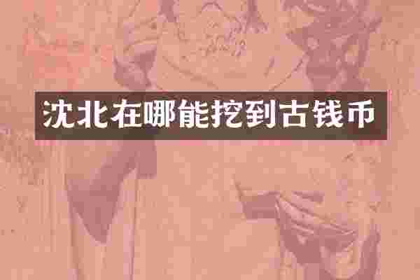 沈北在哪能挖到古钱币