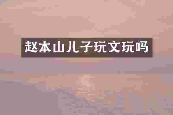 赵本山儿子玩文玩吗