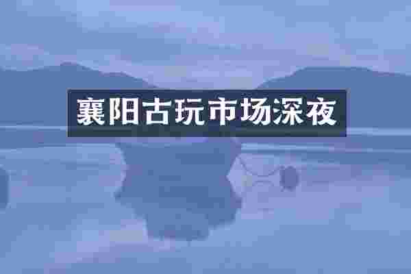 襄阳古玩市场深夜