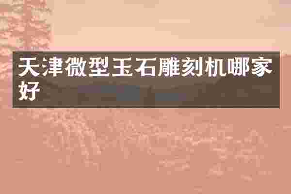 天津微型玉石雕刻机哪家好