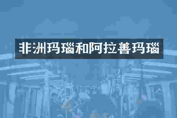 非洲玛瑙和阿拉善玛瑙