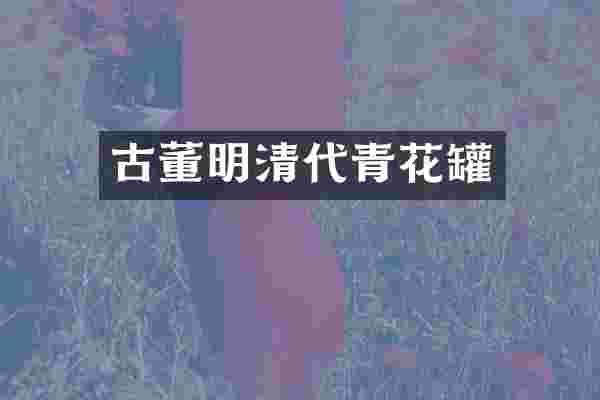 古董明清代青花罐