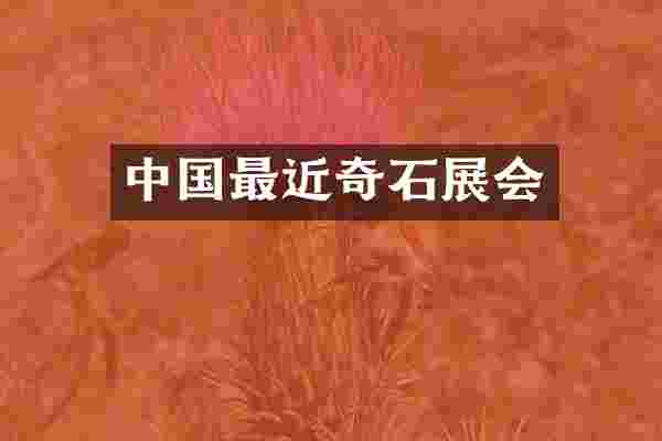 中国最近奇石展会