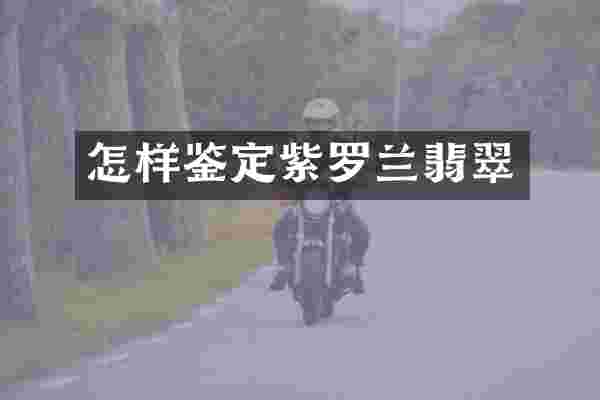 怎样鉴定紫罗兰翡翠