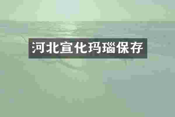 河北宣化玛瑙保存