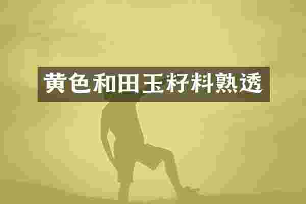 黄色和田玉籽料熟透