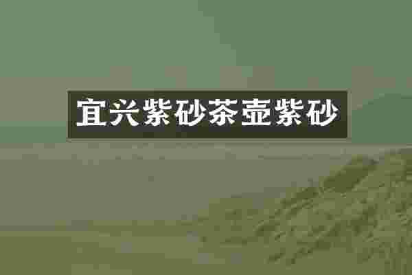 宜兴紫砂茶壶紫砂