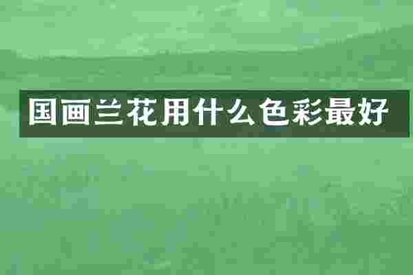 国画兰花用什么色彩最好