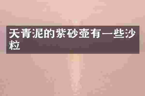 天青泥的紫砂壶有一些沙粒