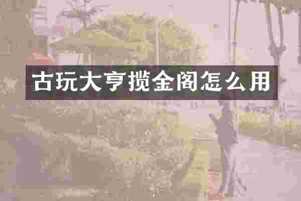 古玩大亨揽金阁怎么用
