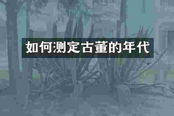 如何测定古董的年代