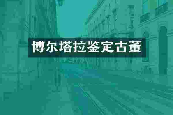 博尔塔拉鉴定古董