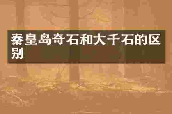 秦皇岛奇石和大千石的区别
