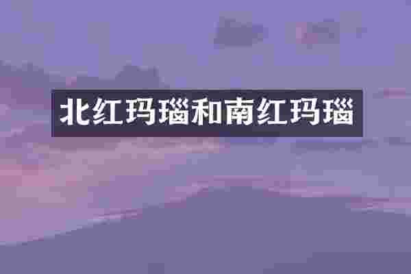 北红玛瑙和南红玛瑙
