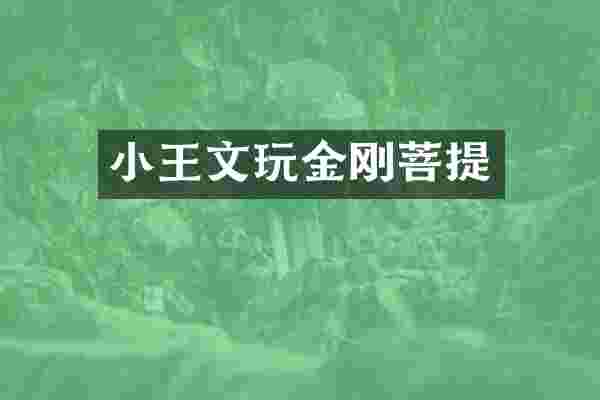 小王文玩金刚菩提