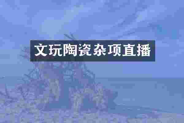 文玩陶瓷杂项直播