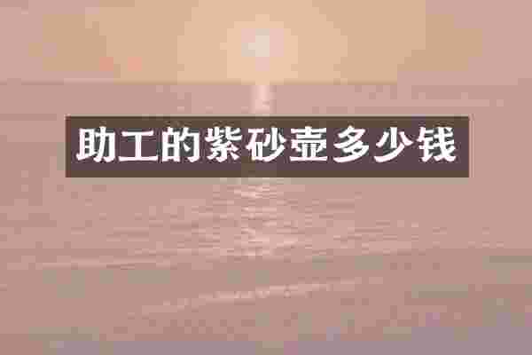 助工的紫砂壶多少钱