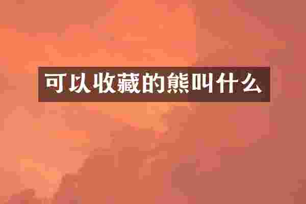 可以收藏的熊叫什么