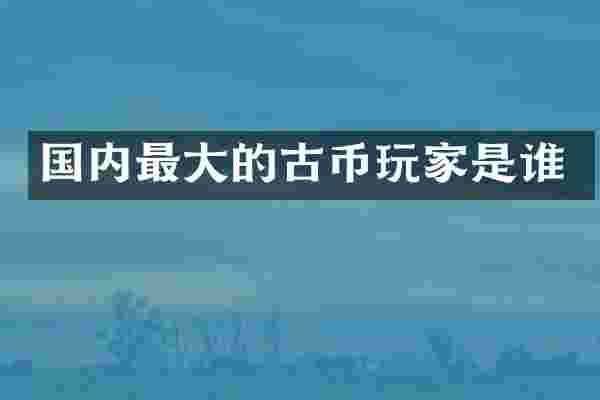 国内最大的古币玩家是谁