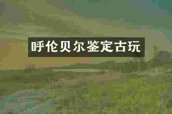 呼伦贝尔鉴定古玩