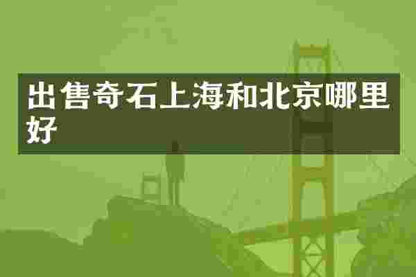 出售奇石上海和北京哪里好