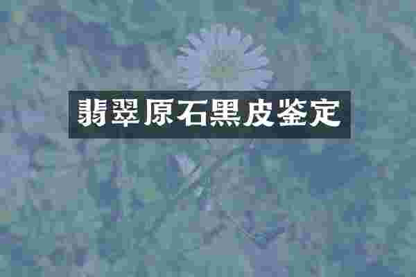 翡翠原石黑皮鉴定