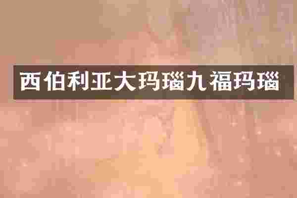 西伯利亚大玛瑙九福玛瑙