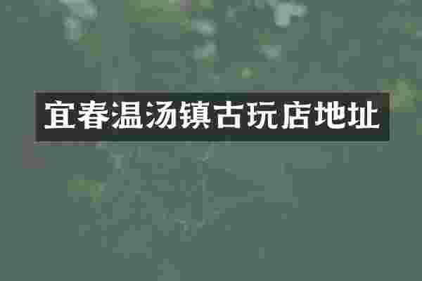 宜春温汤镇古玩店地址