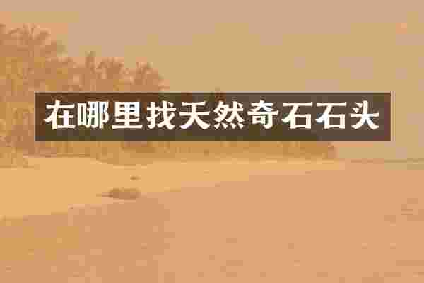 在哪里找天然奇石石头