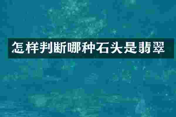怎样判断哪种石头是翡翠