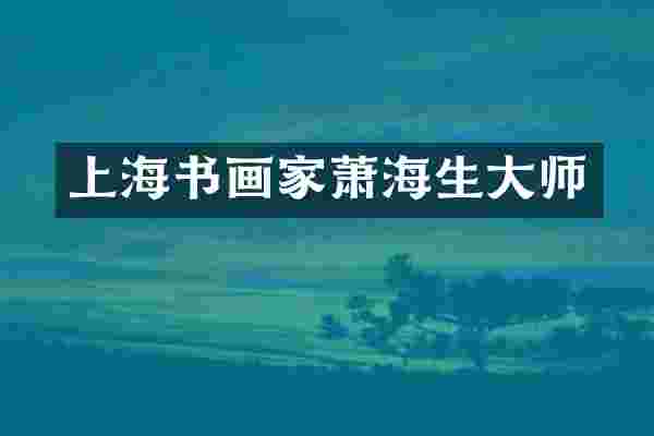 上海书画家萧海生大师