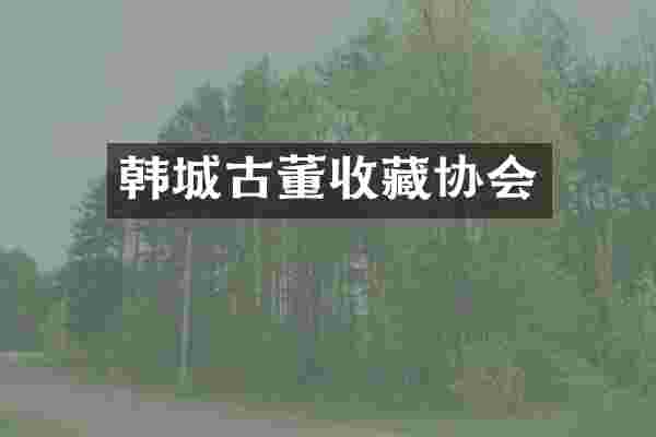 韩城古董收藏协会