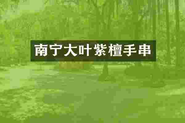 南宁大叶紫檀手串