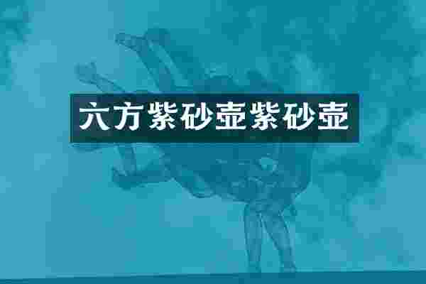 六方紫砂壶紫砂壶