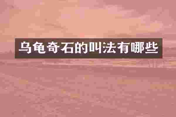 乌龟奇石的叫法有哪些