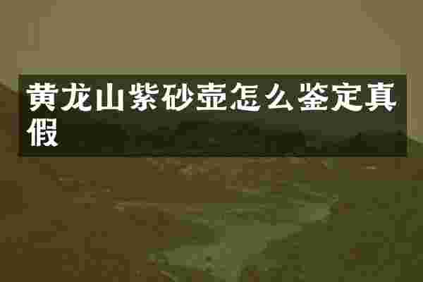 黄龙山紫砂壶怎么鉴定真假