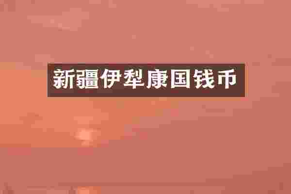 新疆伊犁康国钱币