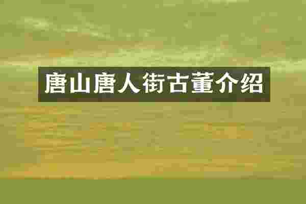 唐山唐人街古董介绍