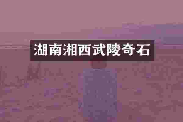 湖南湘西武陵奇石