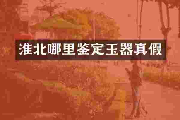 淮北哪里鉴定玉器真假