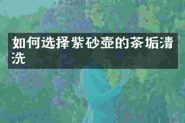 如何选择紫砂壶的茶垢清洗