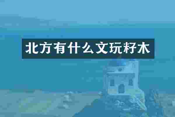 北方有什么文玩籽木