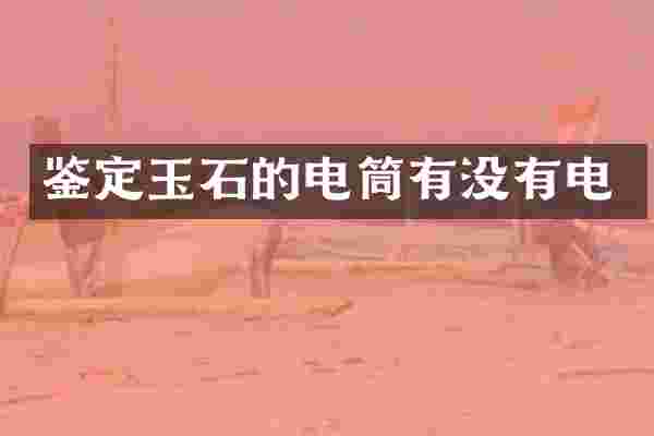 鉴定玉石的电筒有没有电