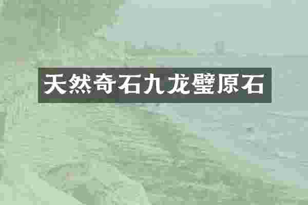 天然奇石九龙璧原石