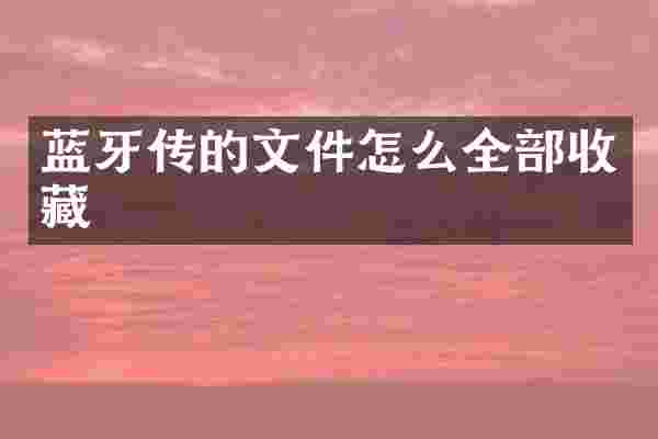 蓝牙传的文件怎么全部收藏